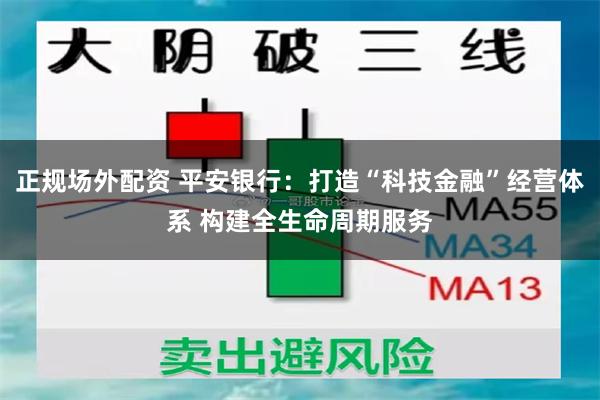 正规场外配资 平安银行：打造“科技金融”经营体系 构建全生命周期服务