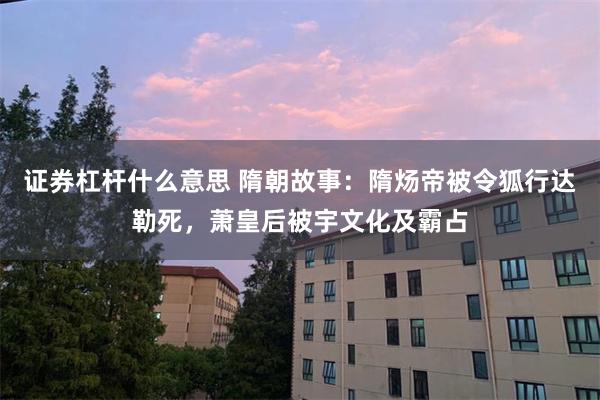 证券杠杆什么意思 隋朝故事：隋炀帝被令狐行达勒死，萧皇后被宇文化及霸占